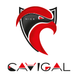 Cavigal Nice Basket logo