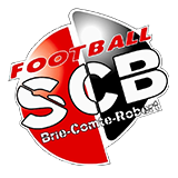 Briard SC logo