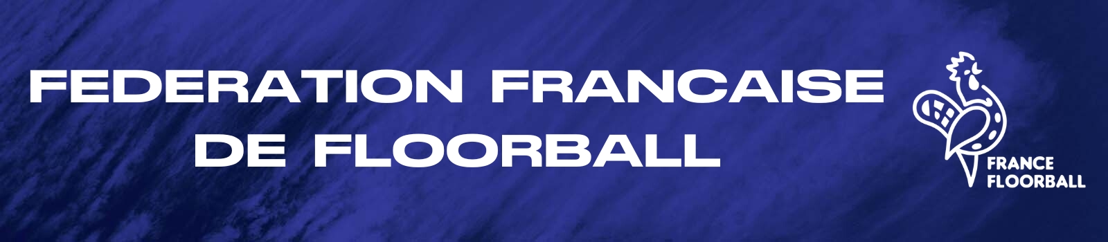 Fédération Française de Floorball