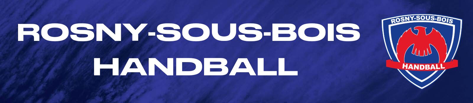 Rosny sous Bois Handball