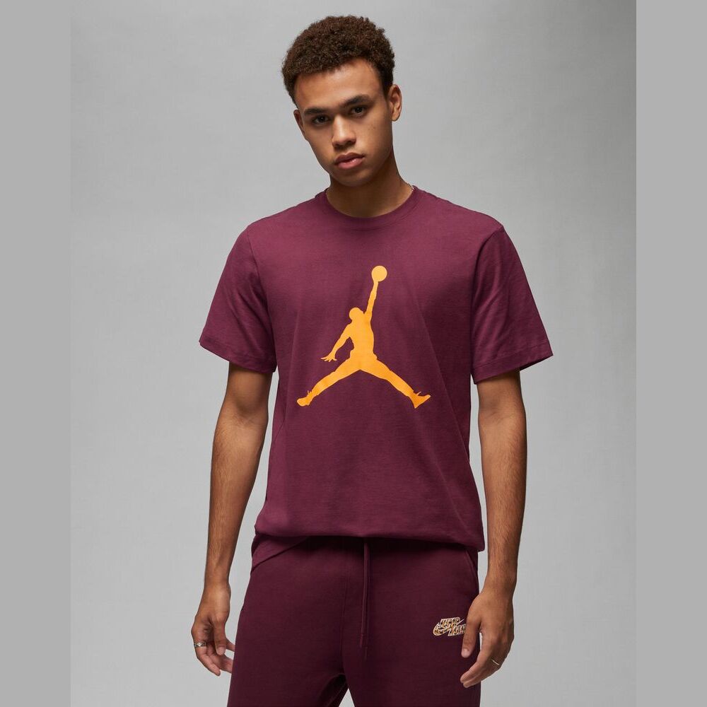 Tee shirt jordan homme on sale