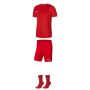 Ensemble Nike homme| Pack 3 pièces | Maillot Challenge IV Short Park III Chaussettes Squad DH7990 BV6855 SK0030