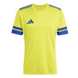 Jaune & Bleu Royal