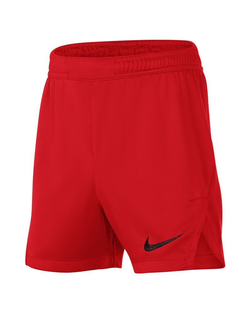 Nike hot sale team shorts