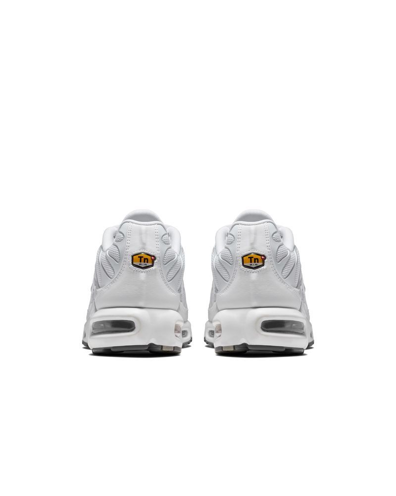 Chaussure Nike Air Max Plus pour homme