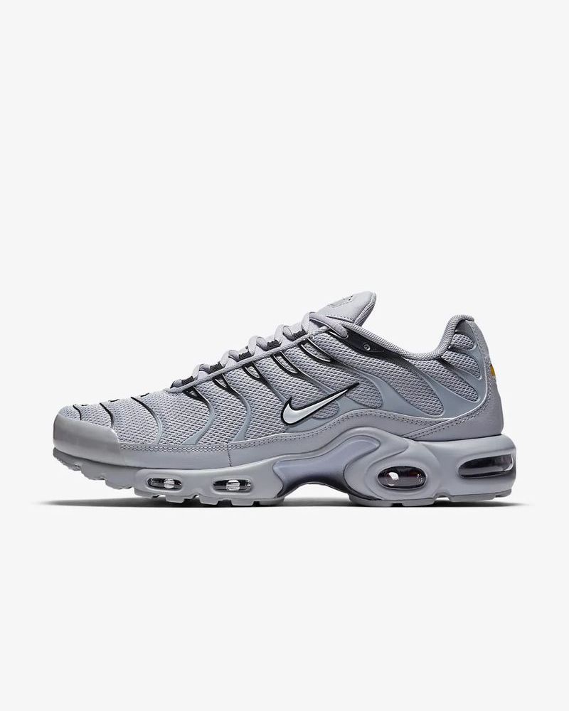 Chaussure Nike Air Max Plus pour homme