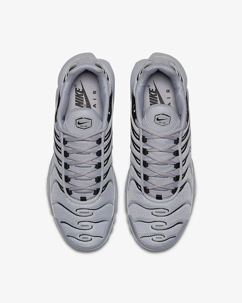 Chaussure Nike Air Max Plus pour homme