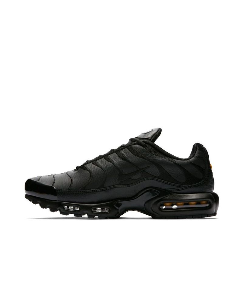Shoes Nike Air Max Plus for Men AJ2029 001 EKINSPORT