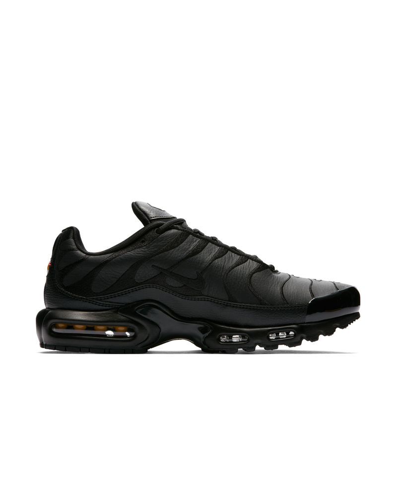 Scarpe Nike Air Max Plus Uomo AJ2029 EKINSPORT