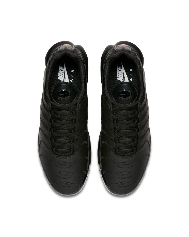 Chaussure Nike Air Max Plus pour Homme AJ2029 EKINSPORT