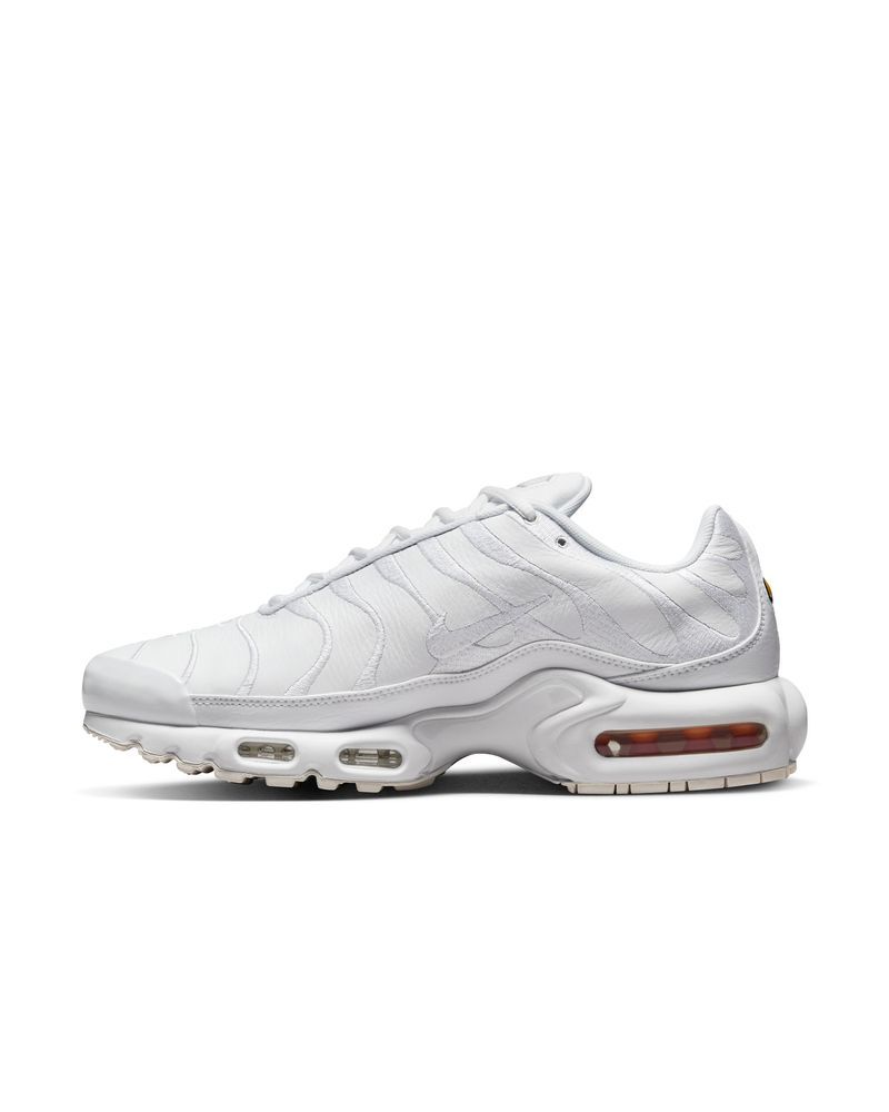 Chaussure Nike Air Max Plus pour Homme - AJ2029-100