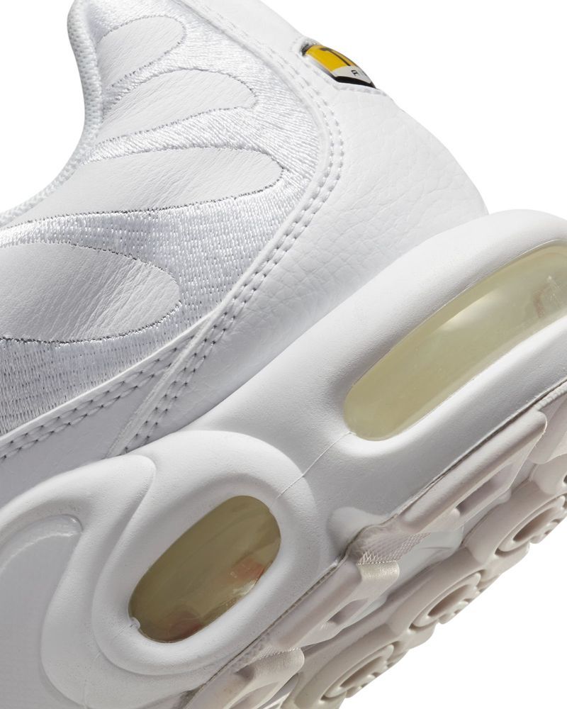 Nike Air Max Plus Men s Shoe AJ2029 EKINSPORT