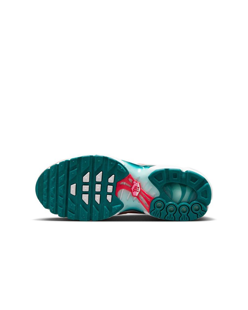 Shoes Nike Air Max Plus for Child CD0609 EKINSPORT