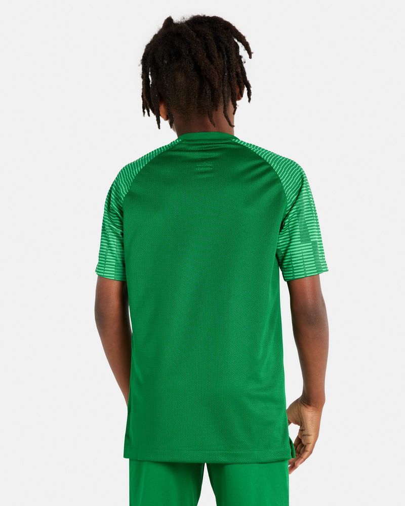 Maillot de match de football Nike Academy pour Enfant DH8369-302 Maillot de match de football Nike Academy pour Enfant DH8369-302