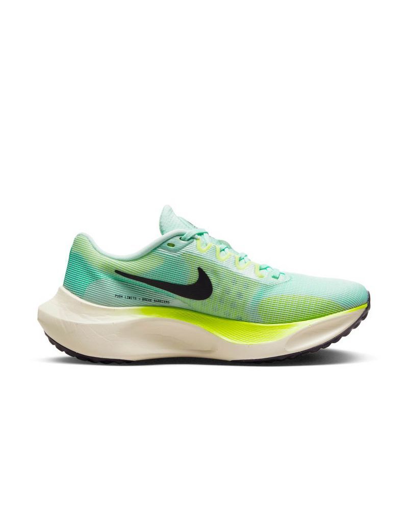 Sapatos de corrida Nike Fly 5 para F mea DM8974 EKINSPORT