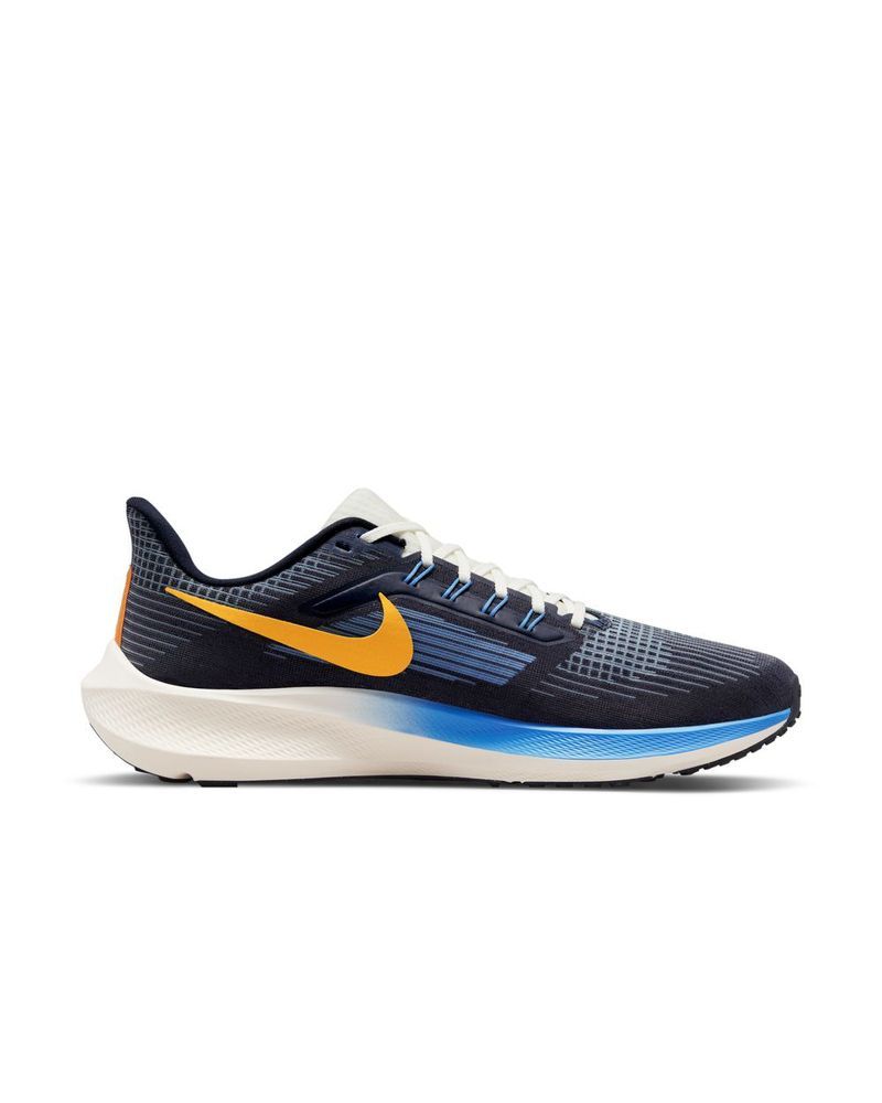 Scarpe da running Nike Pegasus 39 per Uomo DO9580 EKINSPORT