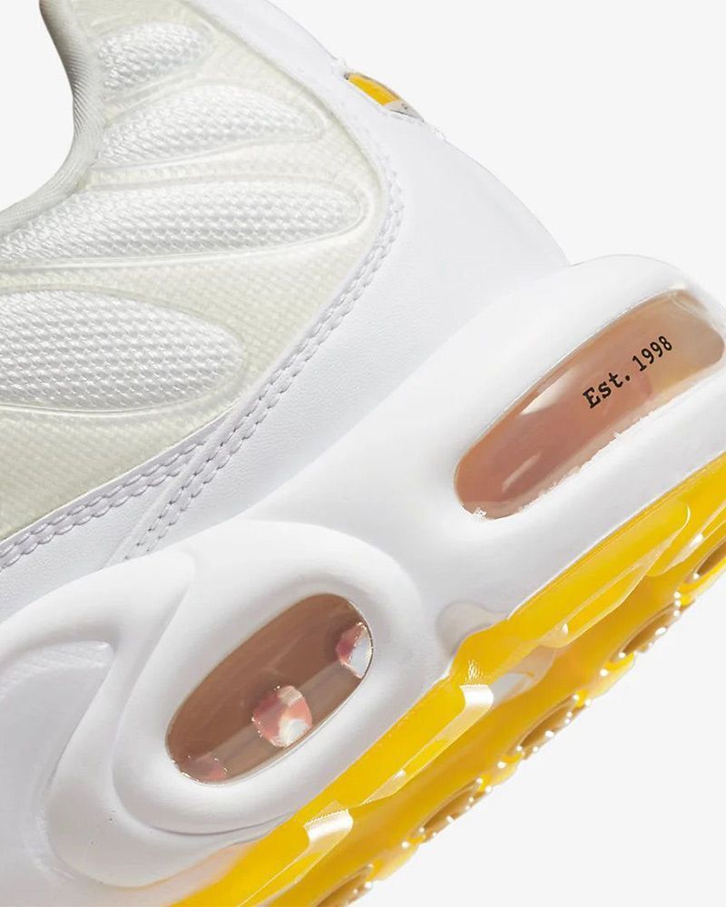 Nike air max shop plus tn se homme