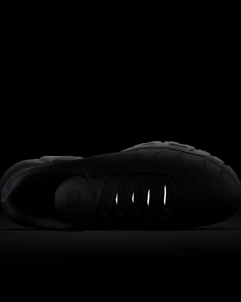 Chaussure Nike Air Max Plus pour Homme - AJ2029-100