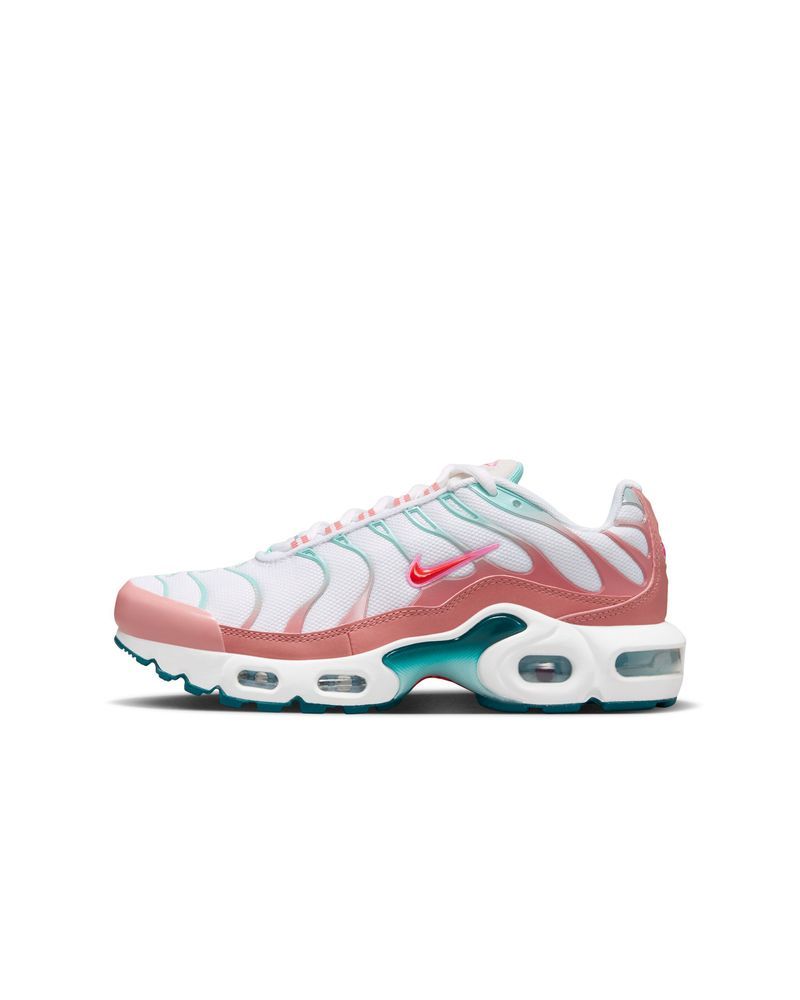 Nike tn rose et bleu sales