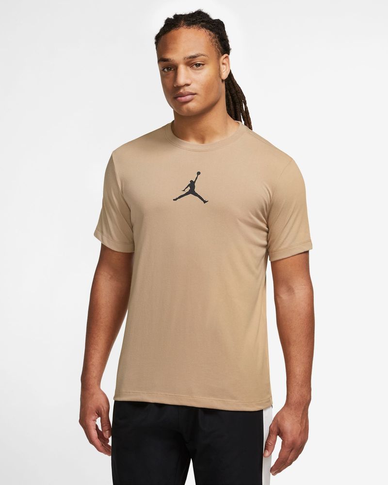 T-shirt à capuche Jordan Sport pour homme