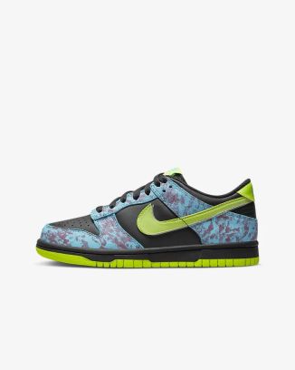 Chaussures Nike Dunk Low pour enfant