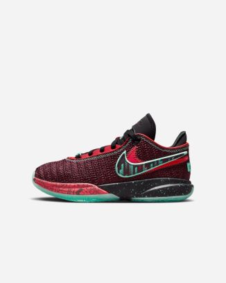 Chaussures Lebron XX SE Marron pour Enfant FB8974-600