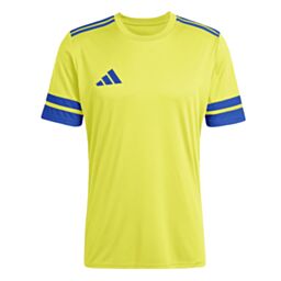 Jaune & Bleu Royal