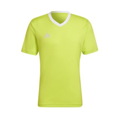 Maillot adidas Entrada 22 Jaune & Vert pour Homme