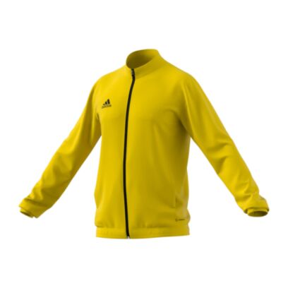 Veste adidas Entrada 22 Jaune pour Homme