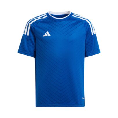 Maillot adidas Campeon Bleu Royal pour Enfant