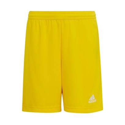 Short adidas Entrada 22 Jaune pour Homme