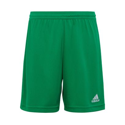 Short adidas Entrada 22 Vert pour Enfant