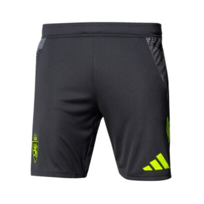 Short adidas Real Zaragoza Gris