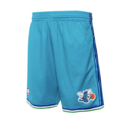 Swingman Charlotte Hornets 1999 - Teal