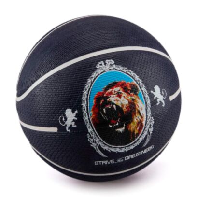 Ballon Nike Lebron James Violet