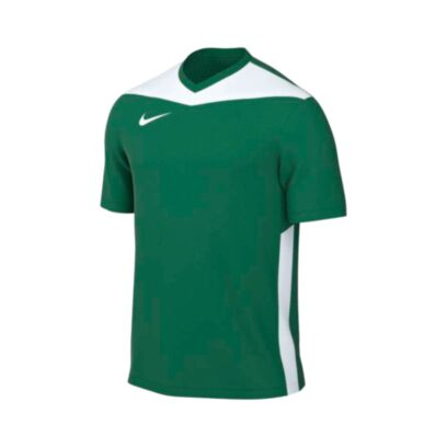 Maillot Nike Park Derby IV Vert pour Homme