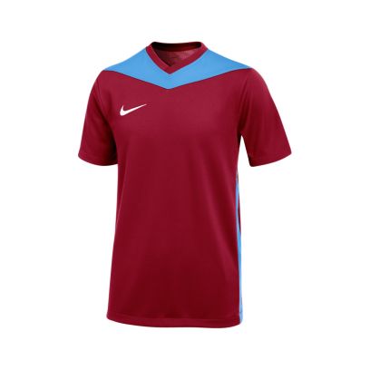 Maillot Nike Park Derby IV Bordeaux pour Enfant