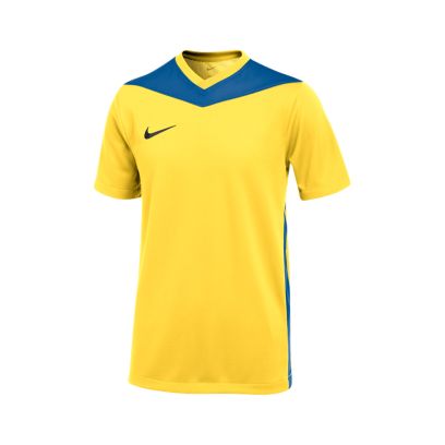 Maillot Nike Park Derby IV Jaune pour enfant