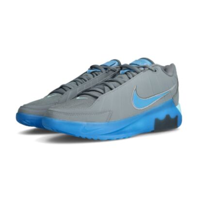 Chaussures de basket Nike Lebron Witness 9 Gris & Bleu