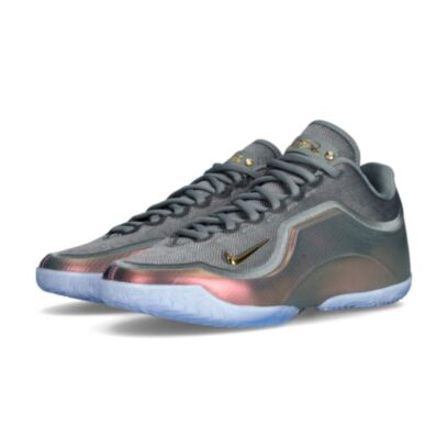 Chaussures de basket Nike LeBron 23 Shut Up And Dribble Gris