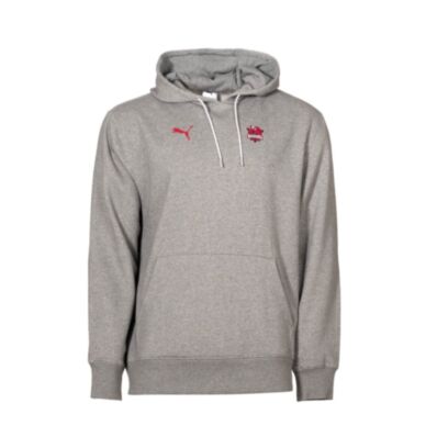 Sweat-shirt Puma Baskonia Basket Gris