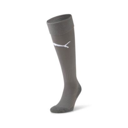 Chaussettes Puma teamLIGA Gris Unisexe