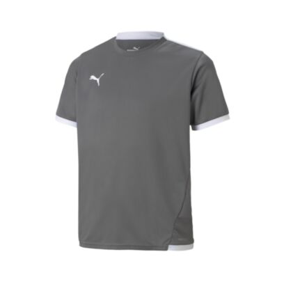 Maillot Puma teamLIGA Gris pour Enfant