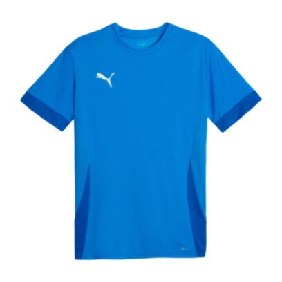 Maillot Puma teamGOAL Bleu pour homme