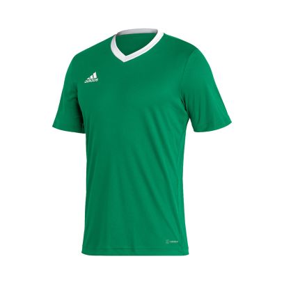 Maillot adidas Entrada 22 Vert pour Enfant