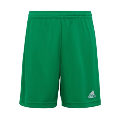 Short adidas Entrada 22 Vert pour Homme