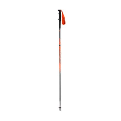 Bâtons Dynafit Alpine Multicolore