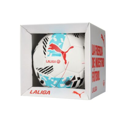 Ballon de football Puma Laliga Blanc