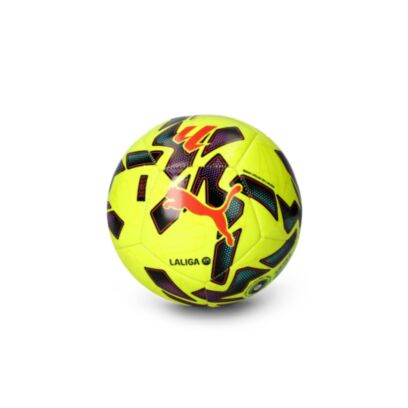 Ballon de football Puma Laliga Multicolore