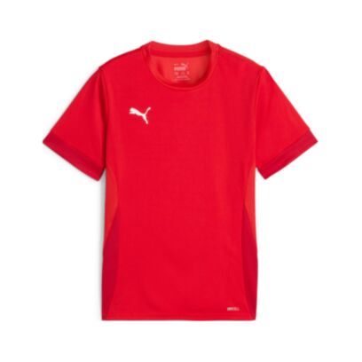 Maillot Puma teamGOAL Rouge pour homme